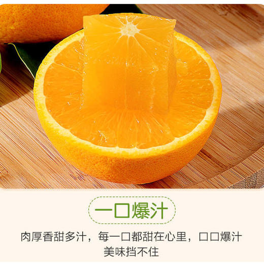 无酸度甜橙 珍珠手掰橙1袋约2000g 商品图5