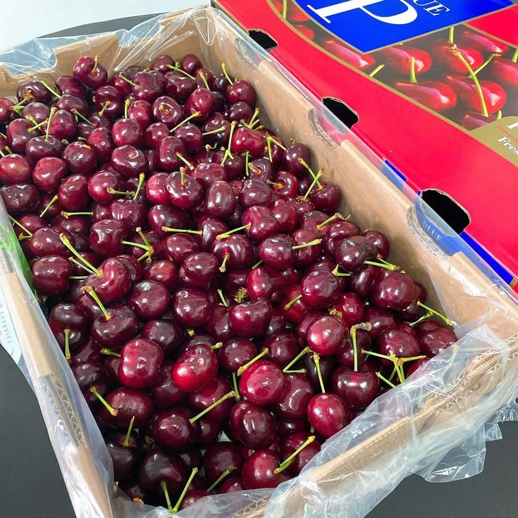 智利红车厘子 4j规格 dj品质 脆甜可口 美味多汁