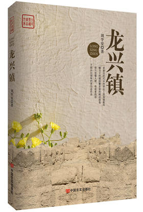 龙兴镇（一本讲述在职场纠葛，家庭矛盾，子女教育，工作考核问题面前，不屈抗争的人生传记）