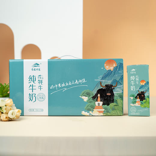 青藏祁莲牦牛纯牛奶青海祁连山成人学生高营养牛奶250ml*12支 商品图2