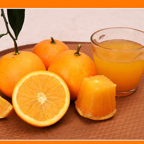 无酸度甜橙 珍珠手掰橙1袋约2000g