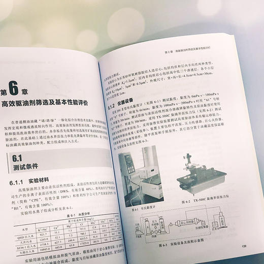 渤海高含水油田综合治理技术研究 卢祥国 刘义刚 商品图3