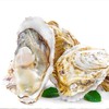 乳山生蚝 5斤装   新鲜水产 商品缩略图1