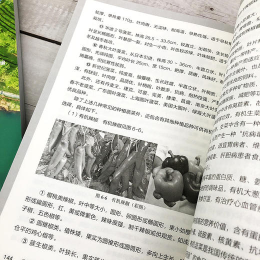 有机农庄的创建与经营 刘起丽 农庄建设经营 管理书籍 有机农庄种植方案 设定布局种植规划 有机蔬菜种植技术病虫害防控盈利指导 商品图4