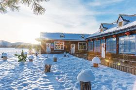  漠河丨一半孤独星球，一半芬兰童话 