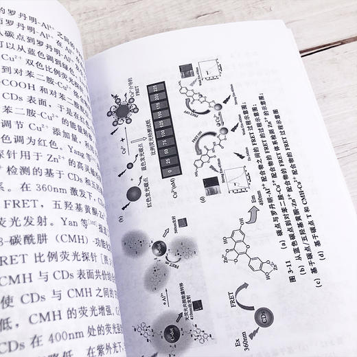 基于纳米材料的荧光共振能量转移技术及其应用 袁云霞 新型纳米材料量子点碳点金属纳米簇上转换荧光共振能量转移技术及其应用书籍 商品图3