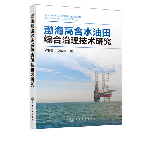 渤海高含水油田综合治理技术研究 卢祥国 刘义刚 商品图5