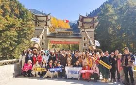  “第一次一个人跟团旅行，回来就推荐给身边的单身朋友” 