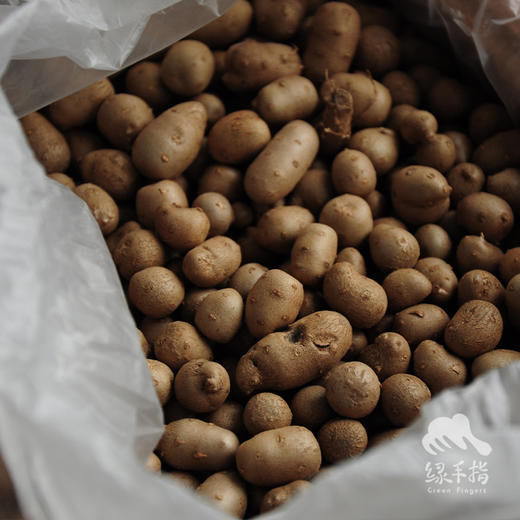 生态铁棍山药 | 合作生产*Eco-Iron yam | Partner Production 商品图5