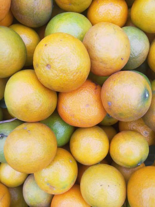 新鲜皇帝柑(抢购价2.28元/斤，口感清甜，5斤一份) 商品图1