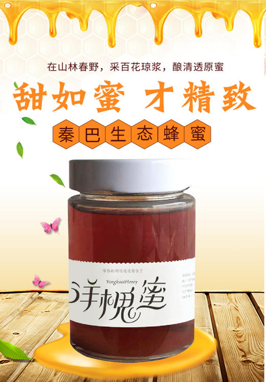 崔家蜜洋槐蜜500g/瓶 商品图0