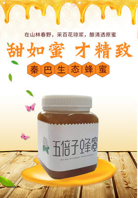 崔家蜜五倍子蜜500g/瓶