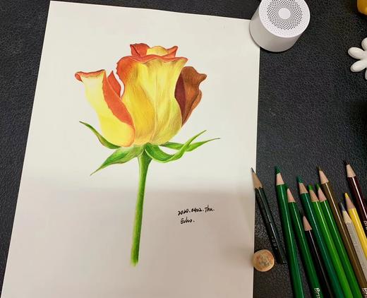 油性彩铅 商品图12