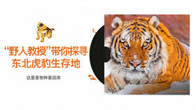 “野人教授”带你探寻东北虎豹生存地
