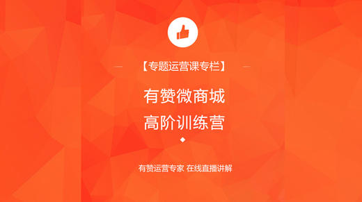 有赞微商城运营专项课 商品图0