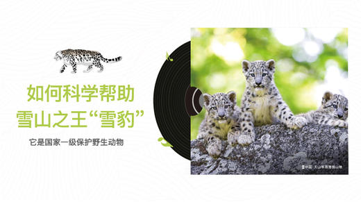 如何科学帮助雪山之王“雪豹” 商品图0