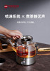 黑六老黑茶专用煮茶器 商品缩略图2