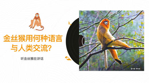 金丝猴用何种语言与人类交流？ 商品图0