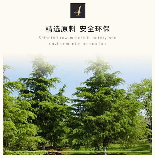 尼奥尼油性彩铅 商品图8