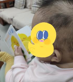 《小鸡球球触感玩具书》：摸着毛茸茸的毛毛，似乎发现了新世界