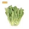 【BN】小青菜/小苦菜 约500g/份 商品缩略图0