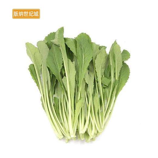 【BN】小青菜/小苦菜 约500g/份 商品图0