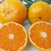 精选 | 庐山西海蜜桔 片片饱满 酸甜可口 5/10斤装 顺丰直发 商品缩略图1