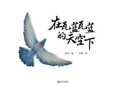 在瓦蓝瓦蓝的天空下 商品图1