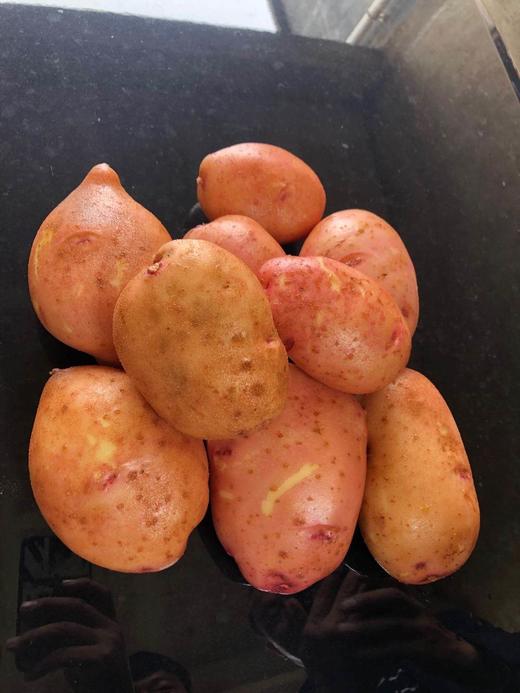 云南小黄姜+红皮土豆 商品图6