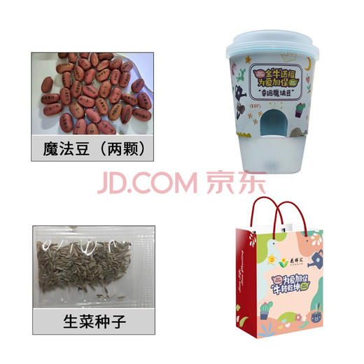 植物小盆栽 商品图1