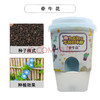 植物小盆栽 商品缩略图0