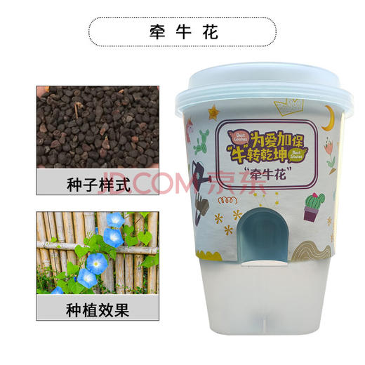 植物小盆栽 商品图0