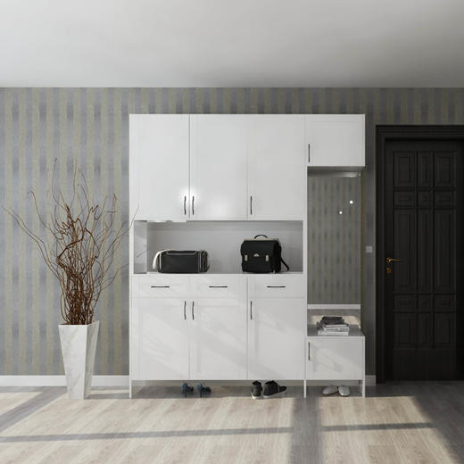 现代·简约鞋柜 商品图0