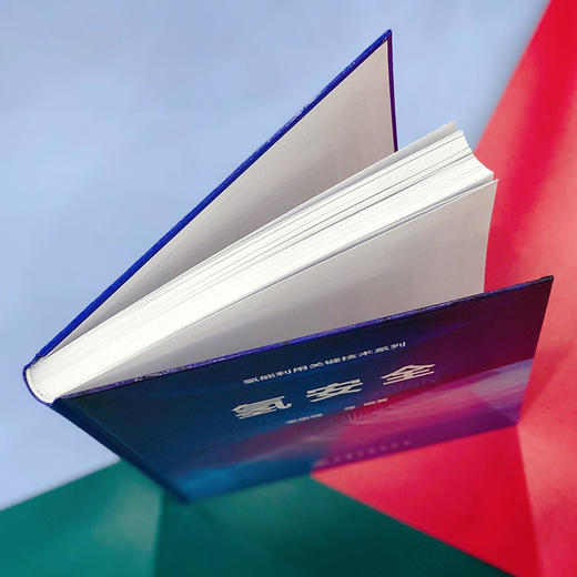 氢安全-氢能利用关键技术系列 商品图3