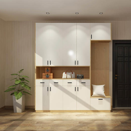 现代·简约鞋柜 商品图0