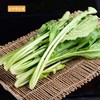 【BN】小青菜/小苦菜 约500g/份 商品缩略图1
