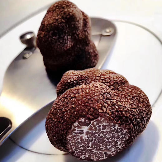 野生黑松露 | 一年仅此一季 高海拔有机生长 肉质细腻 香浓味醇 人工