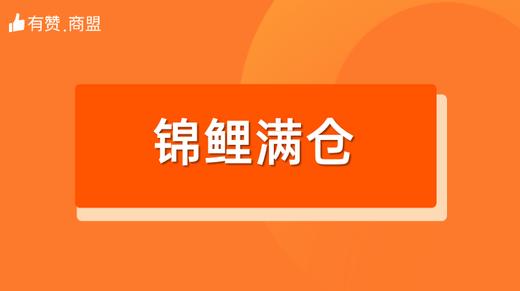 【锦鲤满仓】招商 商品图0