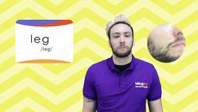 三年级人教版必学单词标准发音课--unit2-16--【leg】