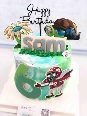 植物大战僵尸 下单前请仔细阅读商品详情