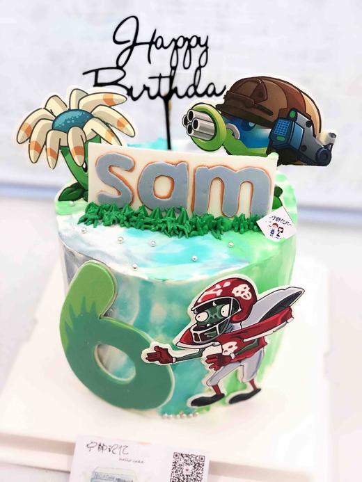 植物大战僵尸 下单前请仔细阅读商品详情 商品图0