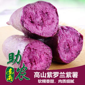 广东连州高山紫罗兰紫薯5斤/10斤