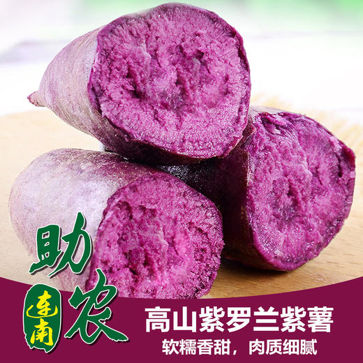 广东连州高山紫罗兰紫薯5斤/10斤 商品图0