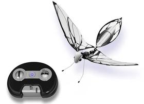  法国航空工程师打造的仿生昆虫，震动翅膀就能飞上天空 