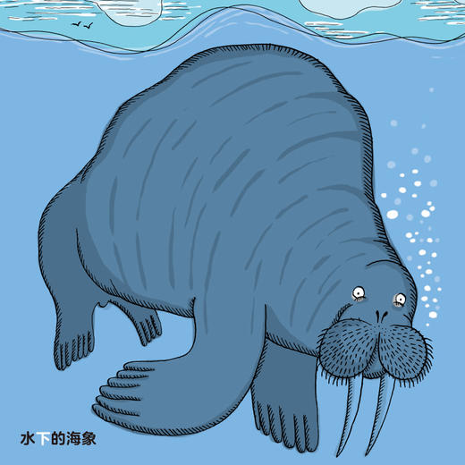 新书预售 动物的朋友圈 认知启蒙绘本全5册 1-3岁 趣味动物分类图鉴 动物的朋友圈 低幼版 商品图2