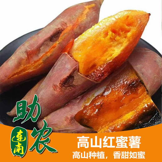 广东连州高山红蜜薯5斤/10斤 商品图0