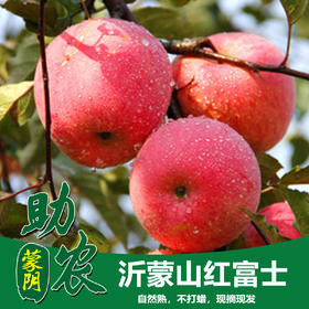 山东沂蒙山红富士5斤