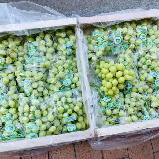 【秘鲁爆炸青提】(2斤)