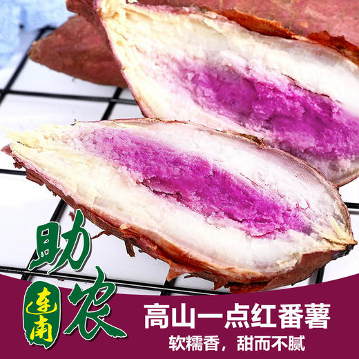 广东连州高山一点红番薯5斤/10斤 商品图0