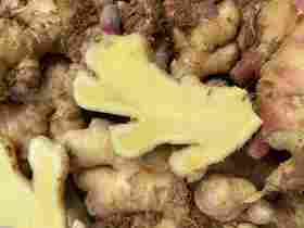 小黄姜+红皮土豆(10件)